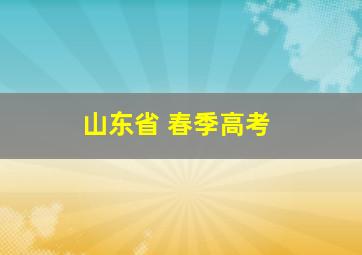 山东省 春季高考